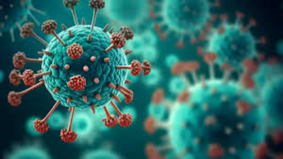 Visual representation of Human metapneumovirus